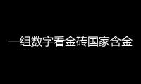 一組數(shù)字看金磚國家含金量