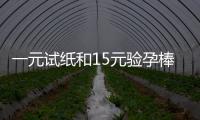 一元試紙和15元驗孕棒的區別詳解，哪種準確率高看完就懂