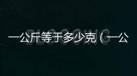 一公斤等于多少克（一公斤等于多少千克）