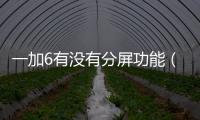 一加6有沒有分屏功能（一加六怎么分屏）