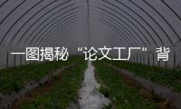 一圖揭秘“論文工廠”背后的產業鏈丨漫熱點