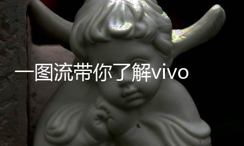 一圖流帶你了解vivo旗下Y系列全新產(chǎn)品——vivo