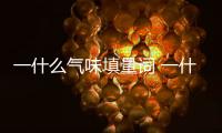 一什么氣味填量詞 一什么氣味填合適的詞