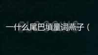 一什么尾巴填量詞燕子（一什么尾巴填量詞）