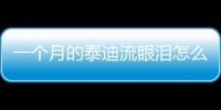 一個月的泰迪流眼淚怎么回事？一個月的小泰迪有淚痕怎么辦