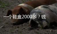 一個鞋盒2000多？錢多人傻才配當“潮人”？