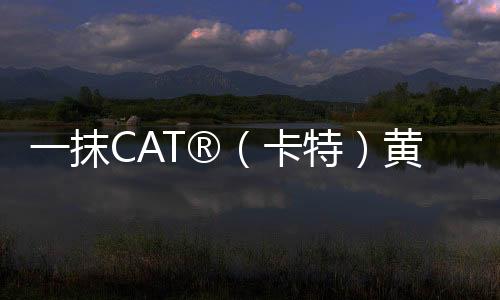 一抹CAT?（卡特）黃，天涯共此時