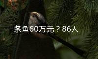 一條魚60萬元？86人垂釣現場被抓！