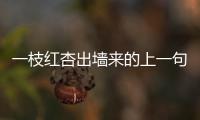 一枝紅杏出墻來的上一句是什么 百度網盤