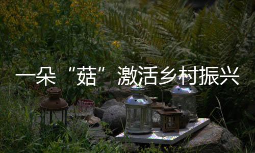 一朵“菇”激活鄉村振興大“蘑”力_