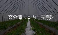 一文分清卡本內與赤霞珠