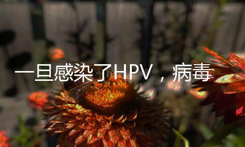 一旦感染了HPV，病毒會終生存留在體內嗎？(HPV會給女性帶來什么危害？)