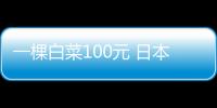 一棵白菜100元 日本奢侈品白菜價 白菜變奢侈品