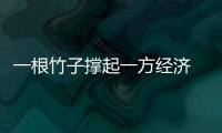 一根竹子撐起一方經濟 科技育竹壘出“金山銀山”