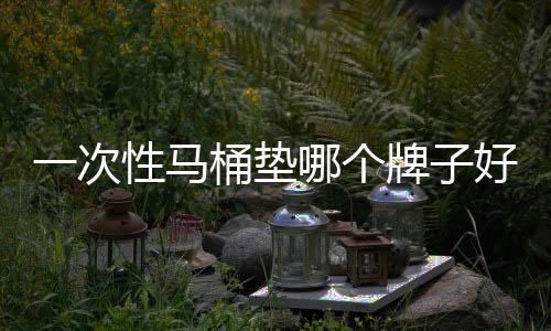 一次性馬桶墊哪個(gè)牌子好