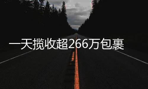 一天攬收超266萬包裹，湖北快遞業已“重啟”五成