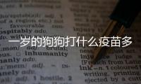 一歲的狗狗打什么疫苗多少錢(一歲的狗狗打什么疫苗最好)