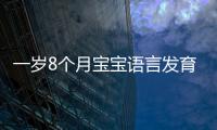 一歲8個(gè)月寶寶語言發(fā)育標(biāo)準(zhǔn)及如何促進(jìn)寶寶語言能力的提升