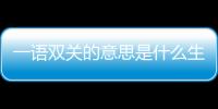 一語雙關的意思是什么生肖（一語雙關的意思）