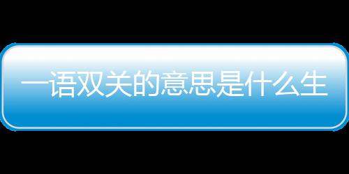 一語雙關(guān)的意思是什么生肖（一語雙關(guān)的意思）