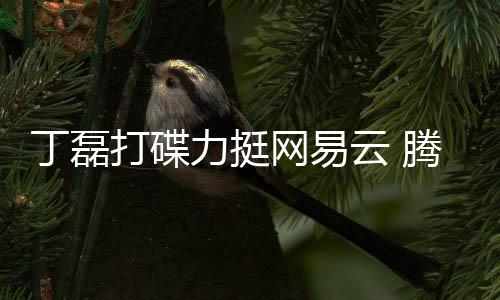 丁磊打碟力挺網易云 騰訊音樂IPO一拖再拖