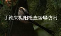 丁純來樅陽檢查督導(dǎo)防汛搶險(xiǎn)工作