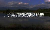 丁子高甜蜜撒狗糧 曬照慶祝與楊千嬅結(jié)婚十周年