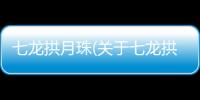 七龍拱月珠(關(guān)于七龍拱月珠簡(jiǎn)述)