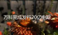 萬科完成發行20億中期票據 期限5年、利率3.08%