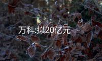 萬科:擬20億元