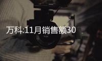 萬(wàn)科:11月銷(xiāo)售額304.4億,斥資41.9億拿地