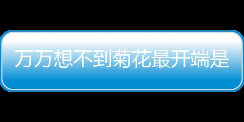 萬萬想不到菊花最開端是用來吃的……