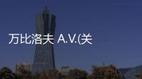 萬比洛夫 A.V.(關于萬比洛夫 A.V.簡述)