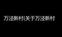 萬涇新村(關于萬涇新村簡述)