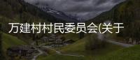 萬建村村民委員會(關于萬建村村民委員會簡述)