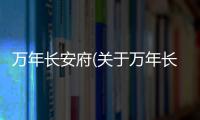 萬年長安府(關于萬年長安府簡述)