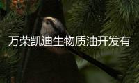 萬榮凱迪生物質油開發有限公司(關于萬榮凱迪生物質油開發有限公司簡述)