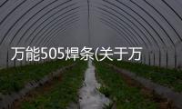 萬能505焊條(關(guān)于萬能505焊條簡述)