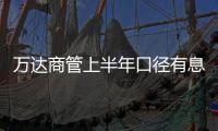 萬達商管上半年口徑有息債務余額356.41億 信用類債券占比超八成