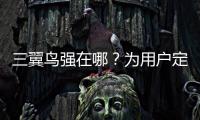 三翼鳥強在哪？為用戶定制，與行業共創！