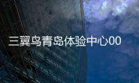 三翼鳥青島體驗中心001客單價20萬！場景品牌引領超傳統家電