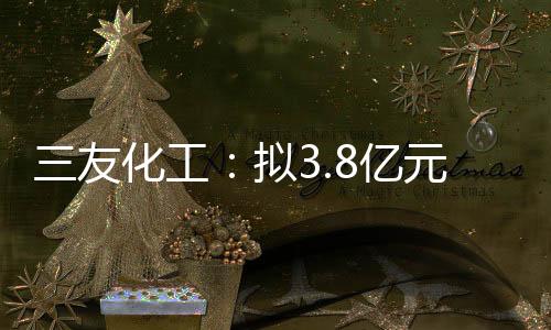 三友化工：擬3.8億元增資青海純堿項目,企業新聞