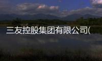 三友控股集團(tuán)有限公司(關(guān)于三友控股集團(tuán)有限公司簡述)