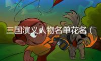 三國演義人物名單花名（三國演義人物名單）