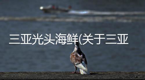 三亞光頭海鮮(關于三亞光頭海鮮簡述)