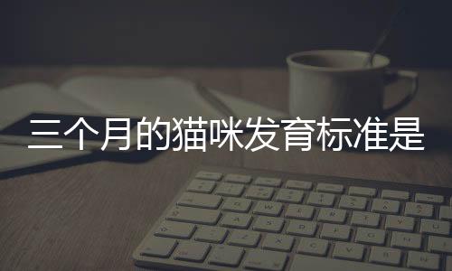 三個(gè)月的貓咪發(fā)育標(biāo)準(zhǔn)是多少，三個(gè)月的貓咪發(fā)育標(biāo)準(zhǔn)圖