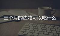 三個月的邊牧可以吃什么(三個月的邊牧怎么訓練)