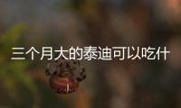 三個月大的泰迪可以吃什么(三個月灰泰迪吃什么狗糧)