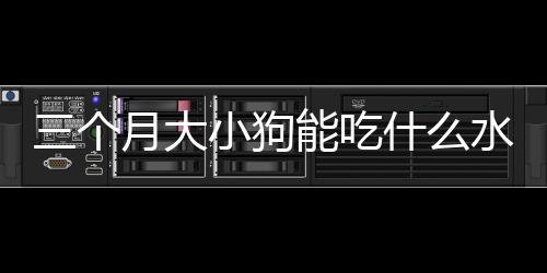 三個月大小狗能吃什么水果？三個月大小狗吃什么消食