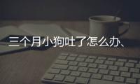 三個月小狗吐了怎么辦、不吃東西,拉一點稀(三個月小狗嘔吐是什么原因)